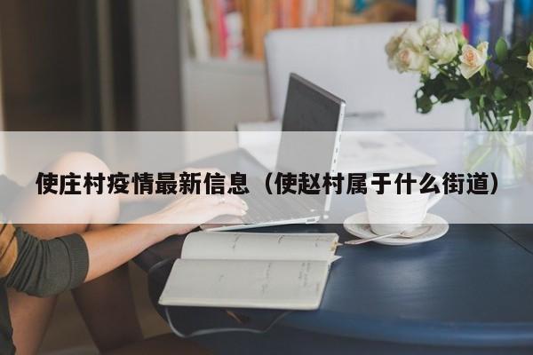 使庄村疫情最新信息（使赵村属于什么街道）