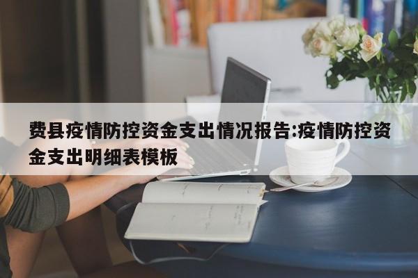 费县疫情防控资金支出情况报告:疫情防控资金支出明细表模板