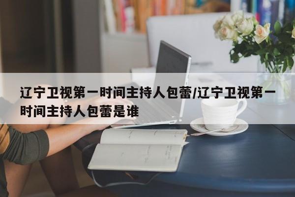 辽宁卫视第一时间主持人包蕾/辽宁卫视第一时间主持人包蕾是谁
