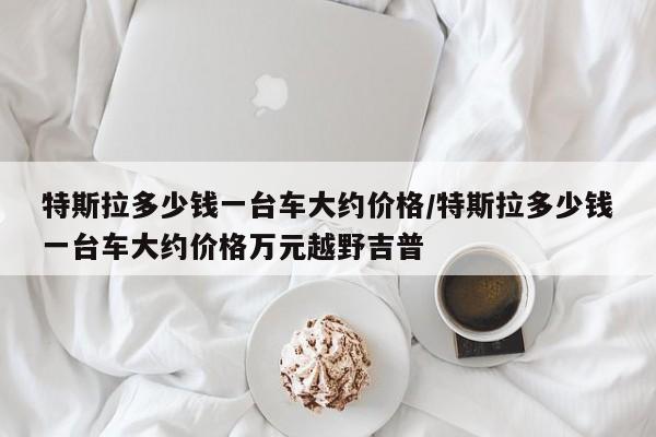 特斯拉多少钱一台车大约价格/特斯拉多少钱一台车大约价格万元越野吉普