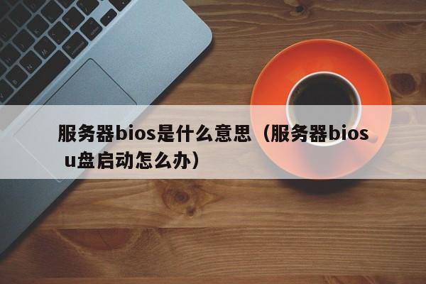 服务器bios是什么意思（服务器bios u盘启动怎么办）