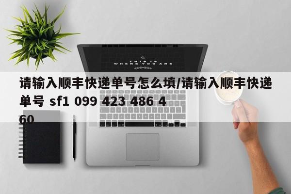 请输入顺丰快递单号怎么填/请输入顺丰快递单号 sf1 099 423 486 460